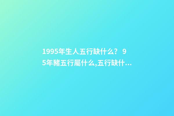 1995年生人五行缺什么？ 95年豬五行屬什么,五行缺什么